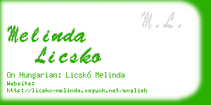 melinda licsko business card